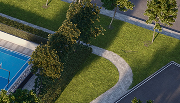 Aromatic Grove